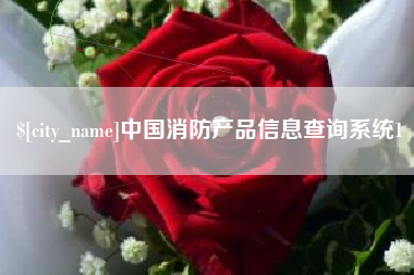 攸县中国消防产品信息查询系统1