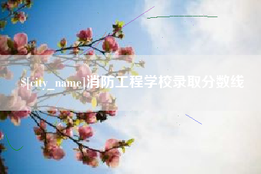攸县消防工程学校录取分数线