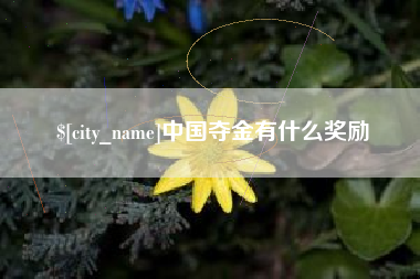 攸县中国夺金有什么奖励