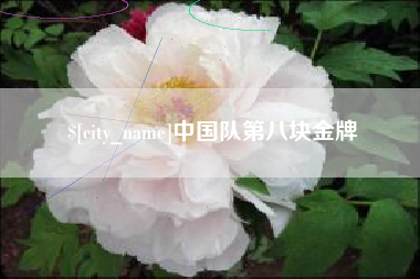 攸县中国队第八块金牌