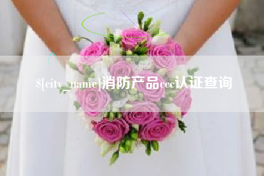 攸县消防产品ccc认证查询