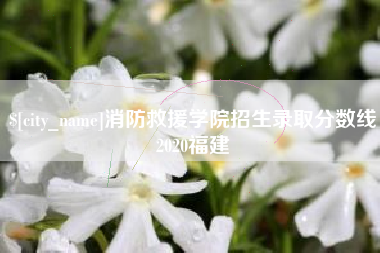 攸县消防救援学院招生录取分数线2020福建