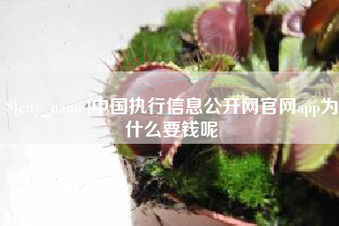 攸县中国执行信息公开网官网app为什么要钱呢