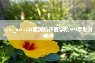 攸县中国消防救援学院2021录取分数线