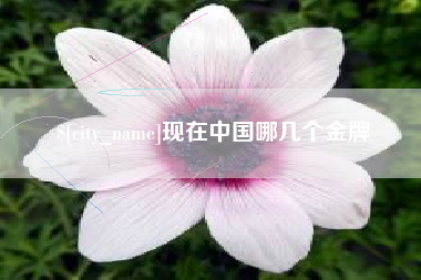 攸县现在中国哪几个金牌