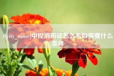 攸县中控消防证怎么考取需要什么条件