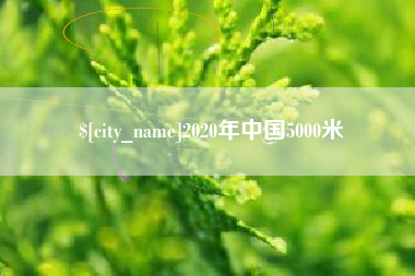 攸县2020年中国5000米