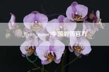 攸县中国消防官方