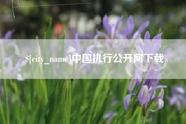 攸县中国执行公开网下载