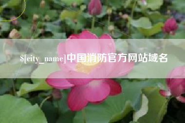 攸县中国消防官方网站域名