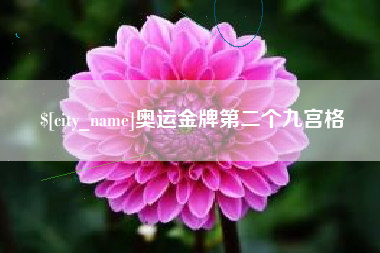 攸县奥运金牌第二个九宫格