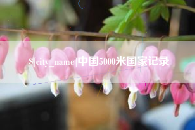攸县中国5000米国家记录
