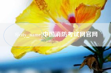 攸县中国消防考试网官网