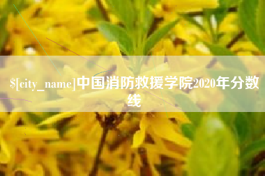 攸县中国消防救援学院2020年分数线