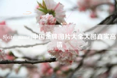 攸县中国金牌图片大全大图真实高清