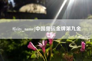 攸县中国奥运金牌第九金