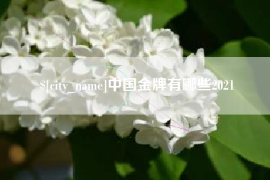 攸县中国金牌有哪些2021