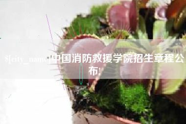 攸县中国消防救援学院招生章程公布!