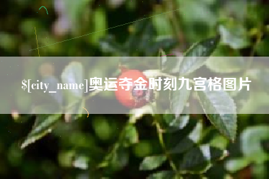 攸县奥运夺金时刻九宫格图片