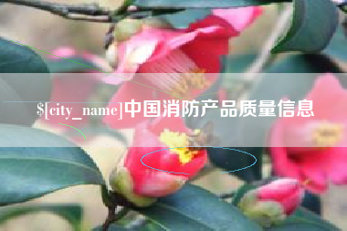 攸县中国消防产品质量信息