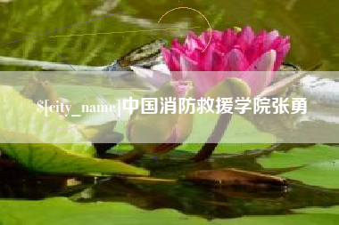 攸县中国消防救援学院张勇