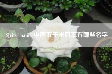 攸县中国五千米冠军有哪些名字