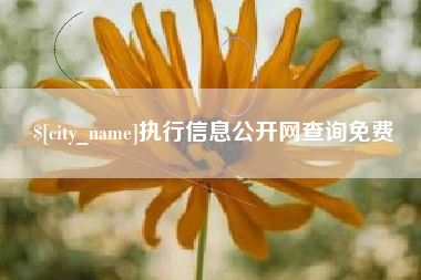 攸县执行信息公开网查询免费